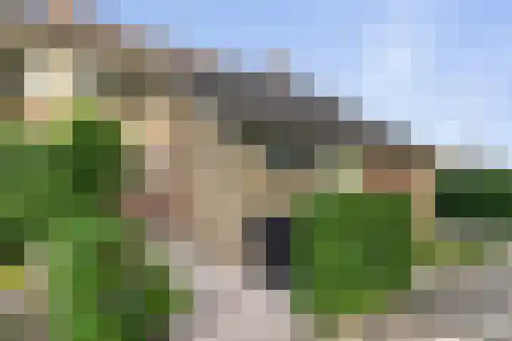 Vedelring 182 Etten-Leur thumbnail 5