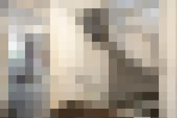 Vedelring 193 Etten-Leur thumbnail 13