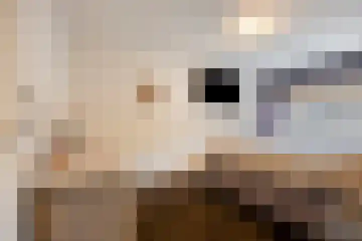 Vedelring 193 Etten-Leur thumbnail 14
