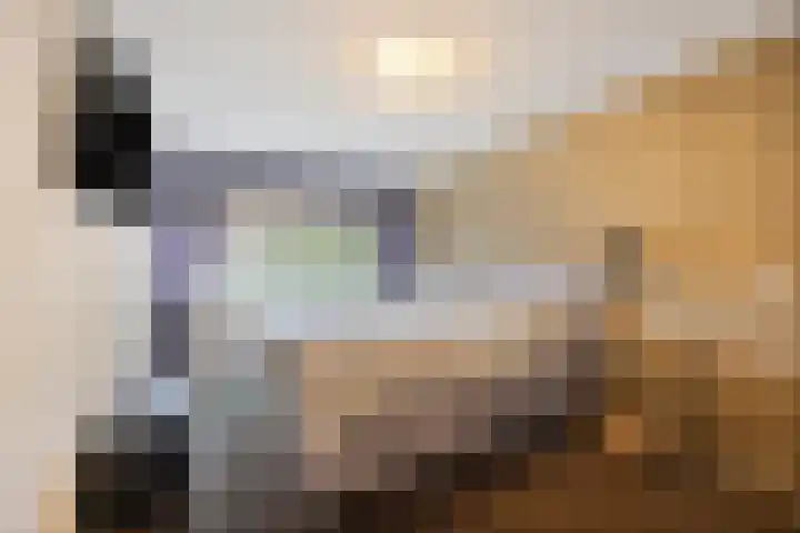 Vedelring 193 Etten-Leur thumbnail 15
