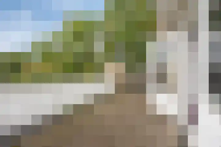 Vedelring 193 Etten-Leur thumbnail 24