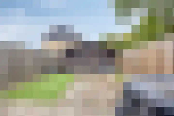 Vedelring 193 Etten-Leur thumbnail 26