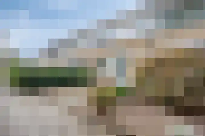 Vedelring 193 Etten-Leur thumbnail 29