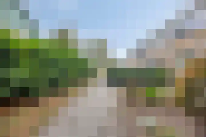 Vedelring 193 Etten-Leur thumbnail 30