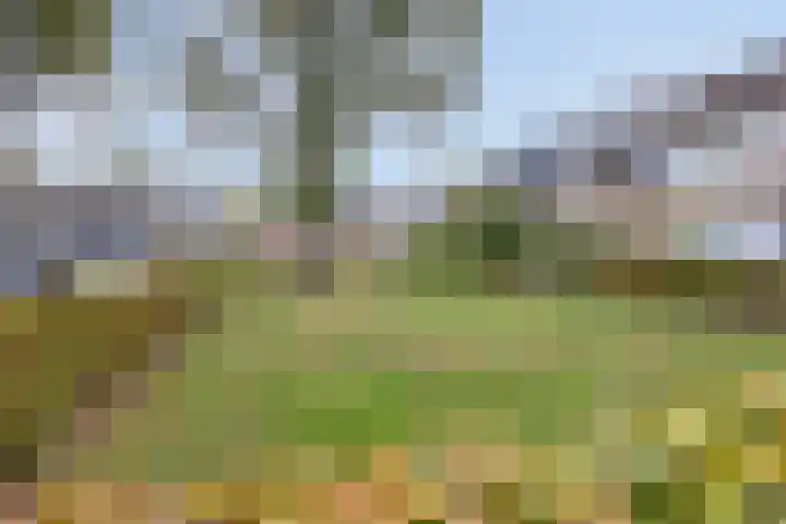 Vedelring 193 Etten-Leur thumbnail 31