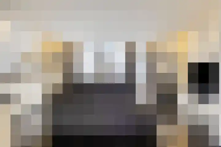 Vedelring 193 Etten-Leur thumbnail 6