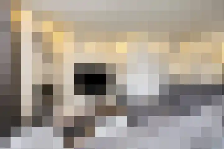 Vedelring 193 Etten-Leur thumbnail 7