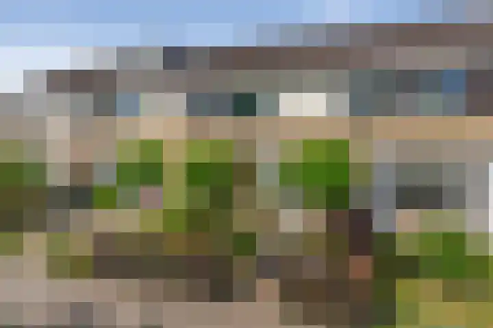 Vedelring 93 en Etten-Leur