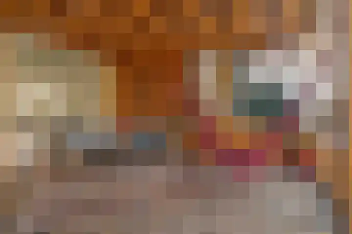 Vedelring 93 Etten-Leur thumbnail 33