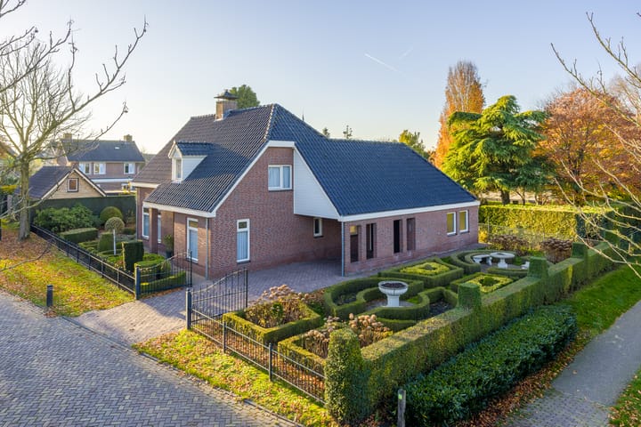 Vederdistel 1 dans Zeeland photo