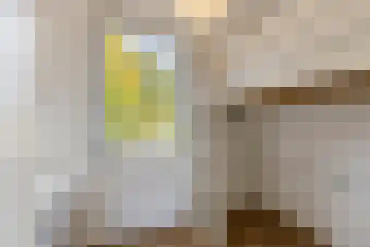 Vederdistel 1 Zeeland thumbnail 15