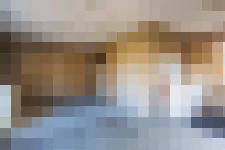 Vederdistel 1 Zeeland thumbnail 21