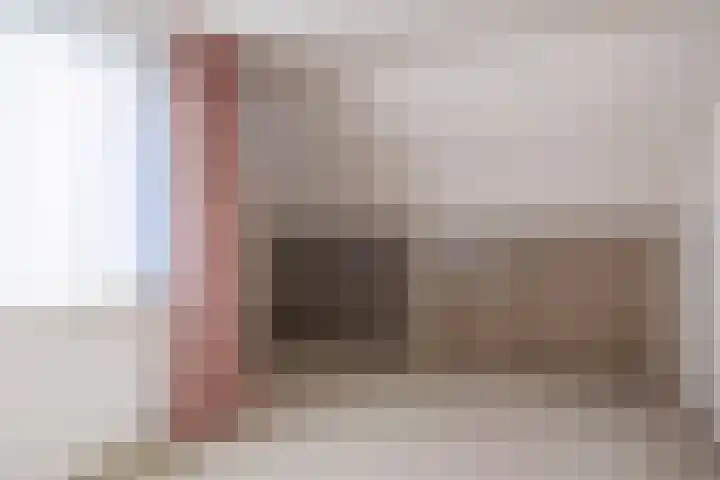 Vederdistel 1 Zeeland thumbnail 29