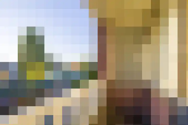 Vederdistel 1 Zeeland thumbnail 30