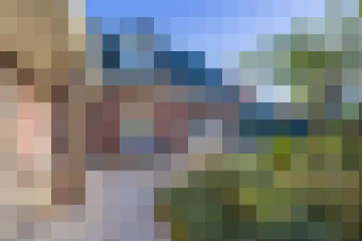 Vederdistel 1 Zeeland thumbnail 38
