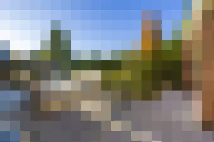 Vederdistel 1 Zeeland thumbnail 39