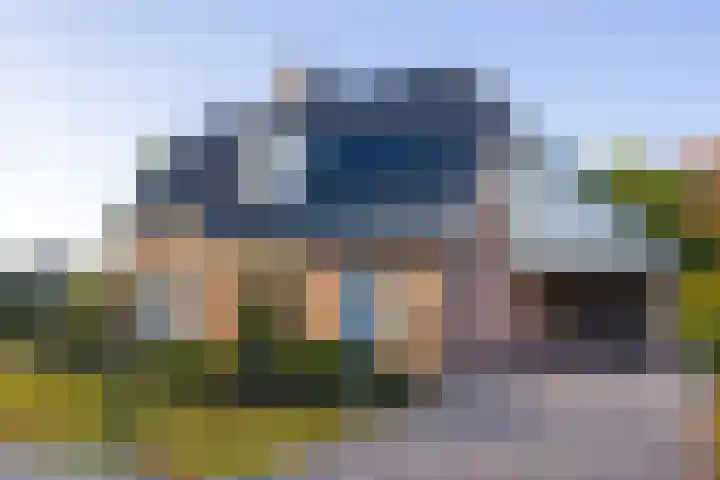 Vederdistel 1 Zeeland thumbnail 4