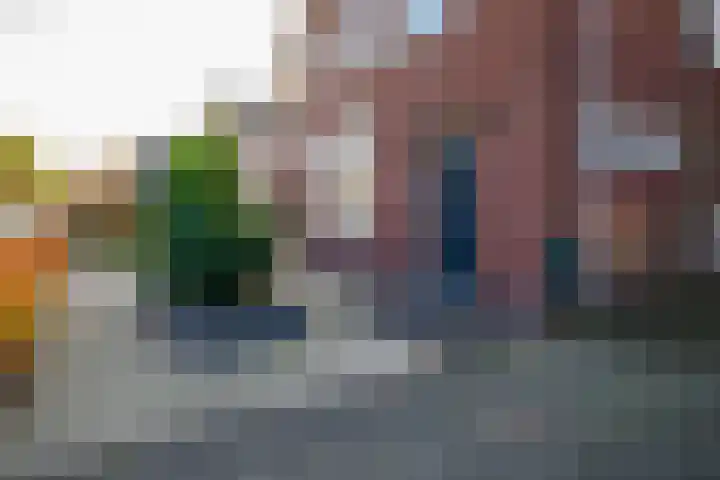 Vederdistel 1 Zeeland thumbnail 43
