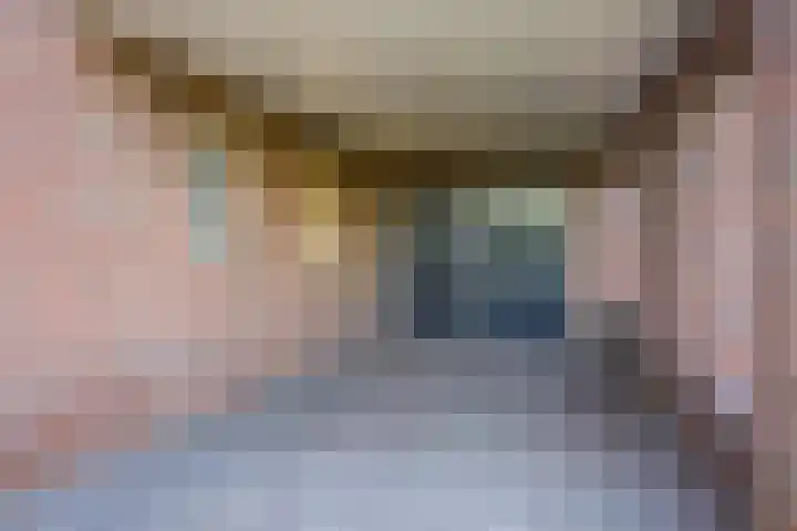 Vederdistel 1 Zeeland thumbnail 44