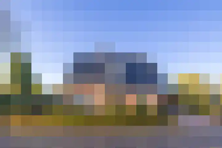 Vederdistel 1 Zeeland thumbnail 47
