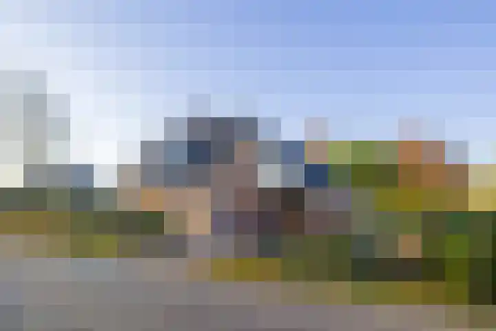 Vederdistel 1 Zeeland thumbnail 49