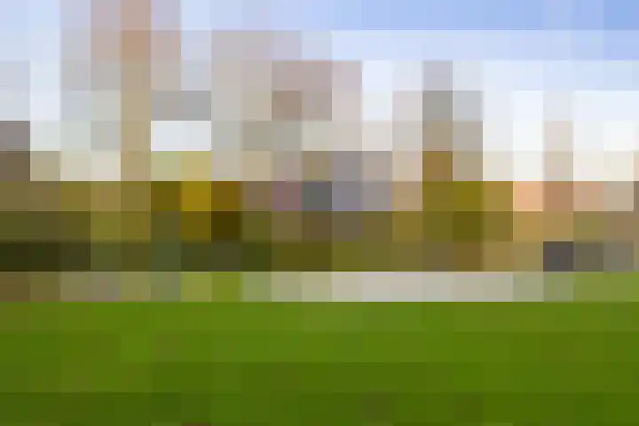 Vederdistel 1 Zeeland thumbnail 53
