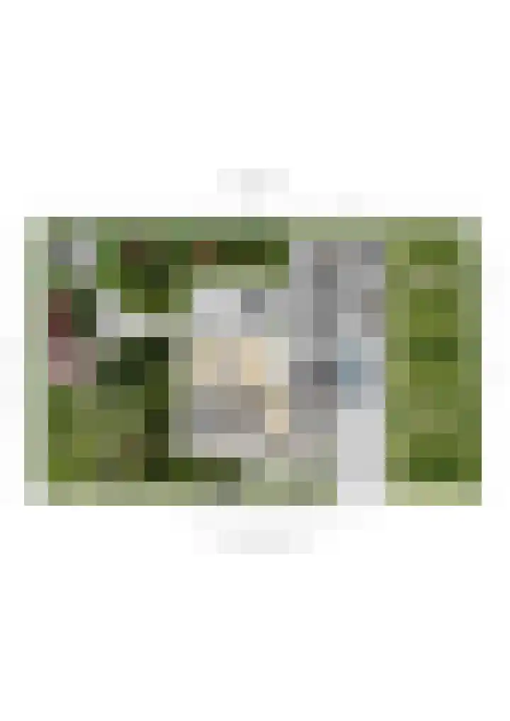 Vederdistel 1 Zeeland thumbnail 61
