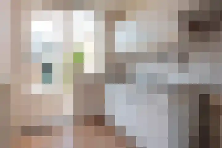 Vederdistelstraat 4 Krommenie thumbnail 7
