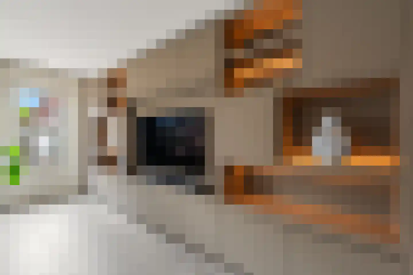 Vedergras 11 Houten thumbnail 10