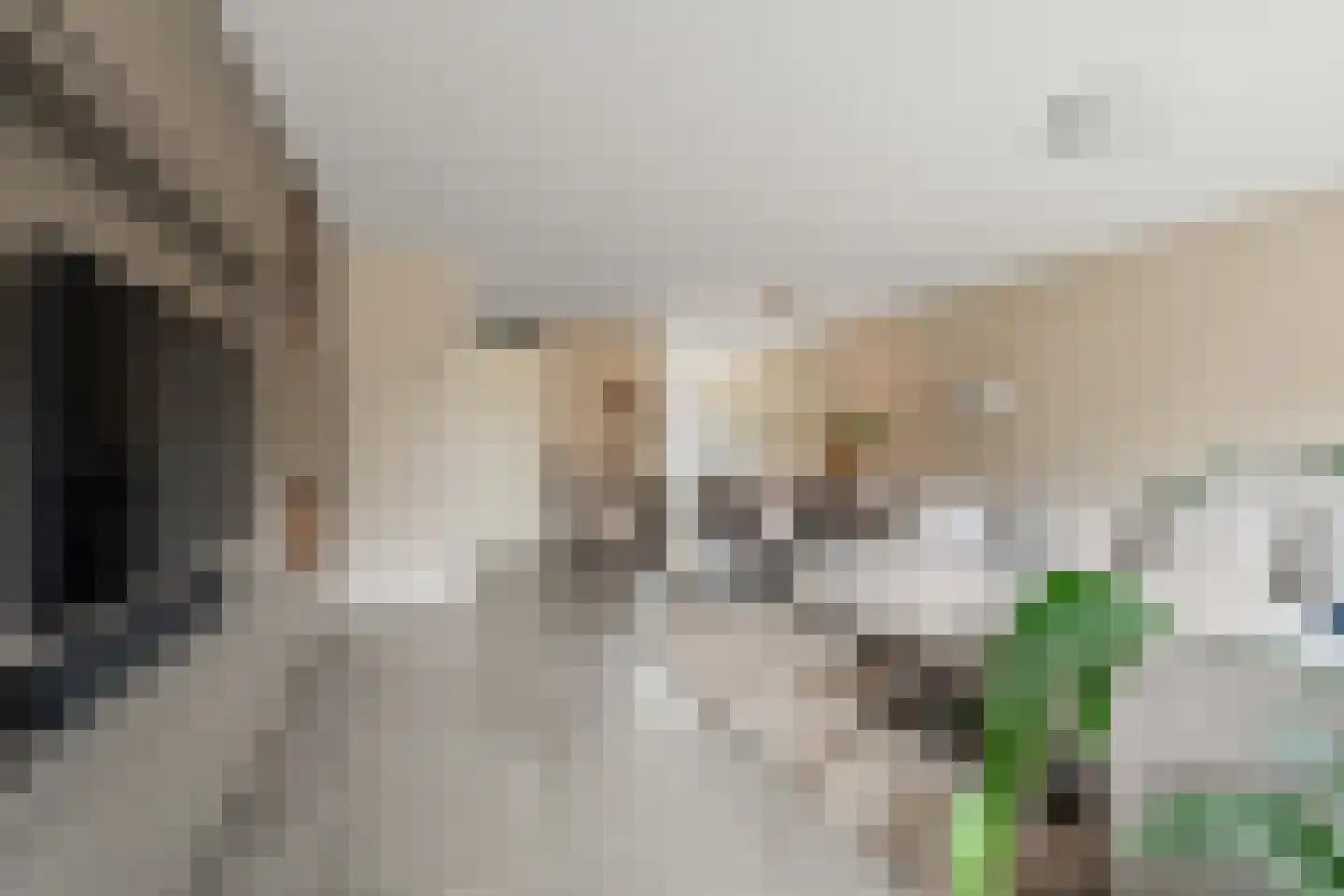 Vedergras 11 Houten thumbnail 13