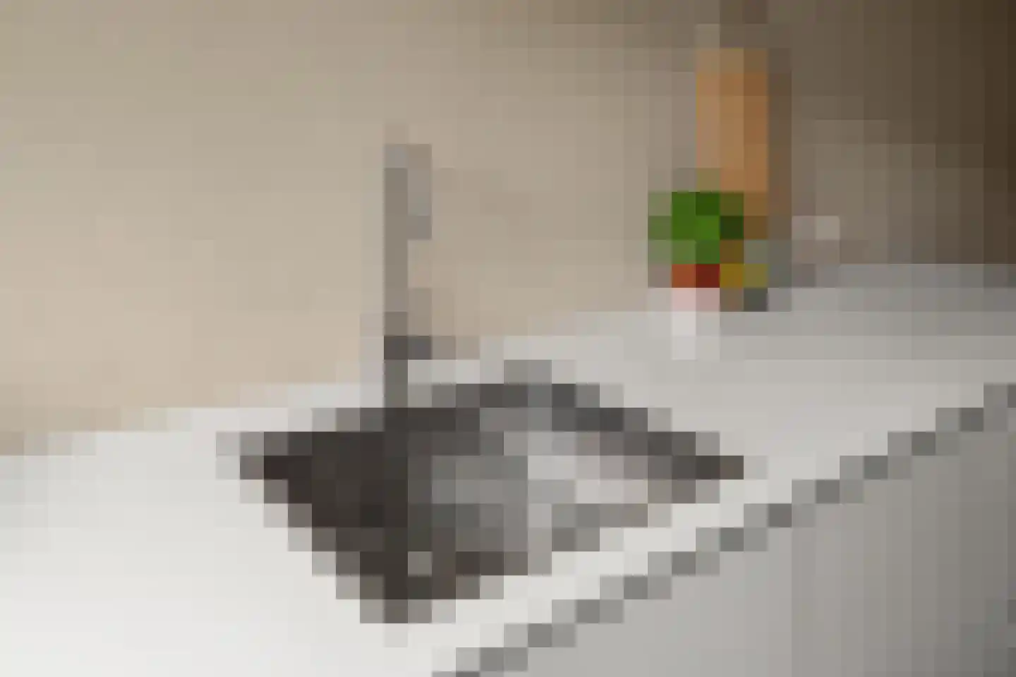 Vedergras 11 Houten thumbnail 20