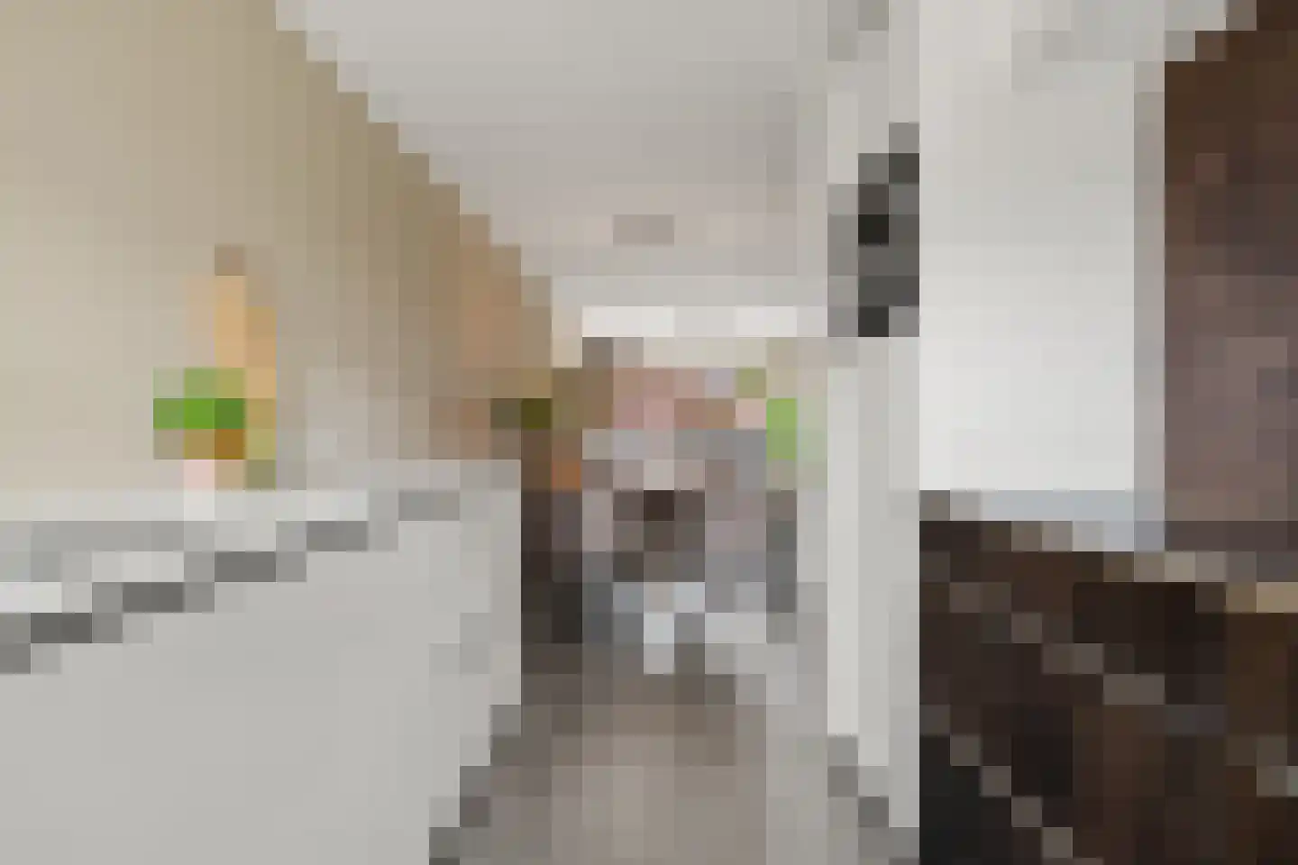 Vedergras 11 Houten thumbnail 21