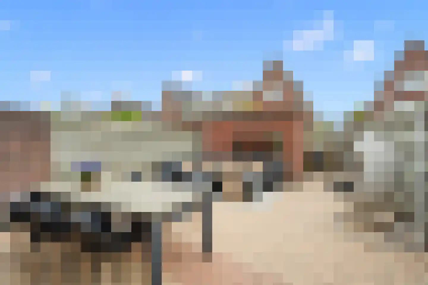 Vedergras 11 Houten thumbnail 22