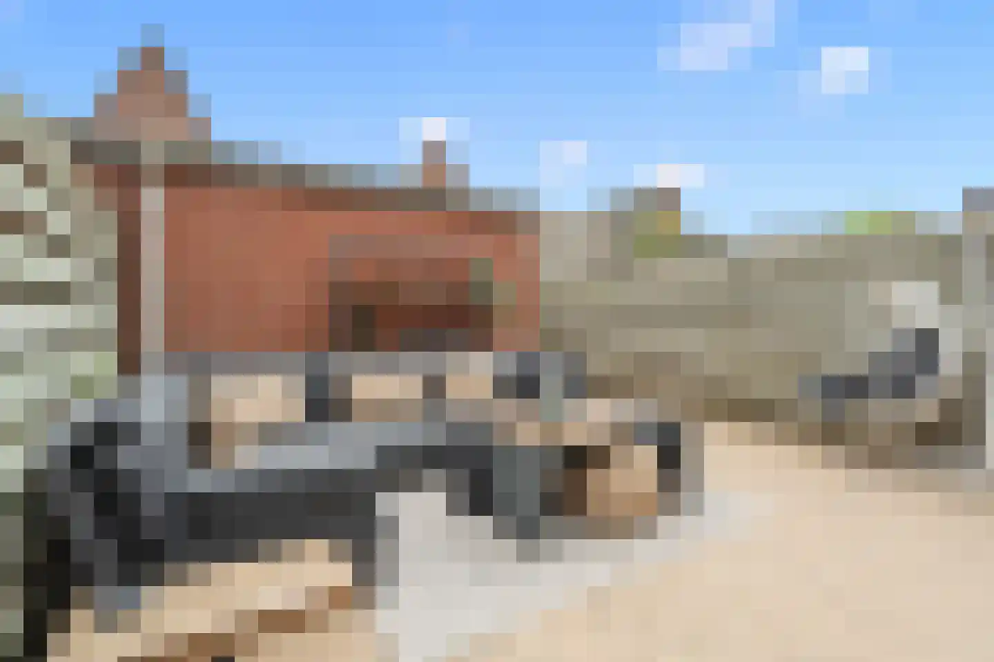 Vedergras 11 Houten thumbnail 24