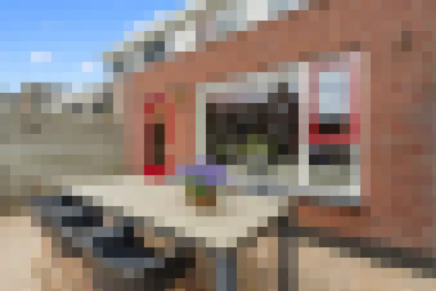 Vedergras 11 Houten thumbnail 26