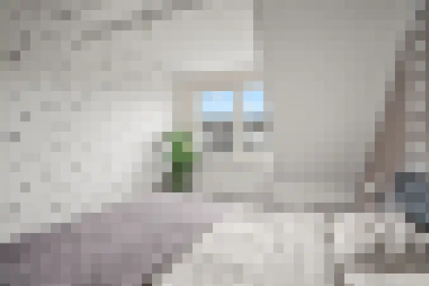 Vedergras 11 Houten thumbnail 29