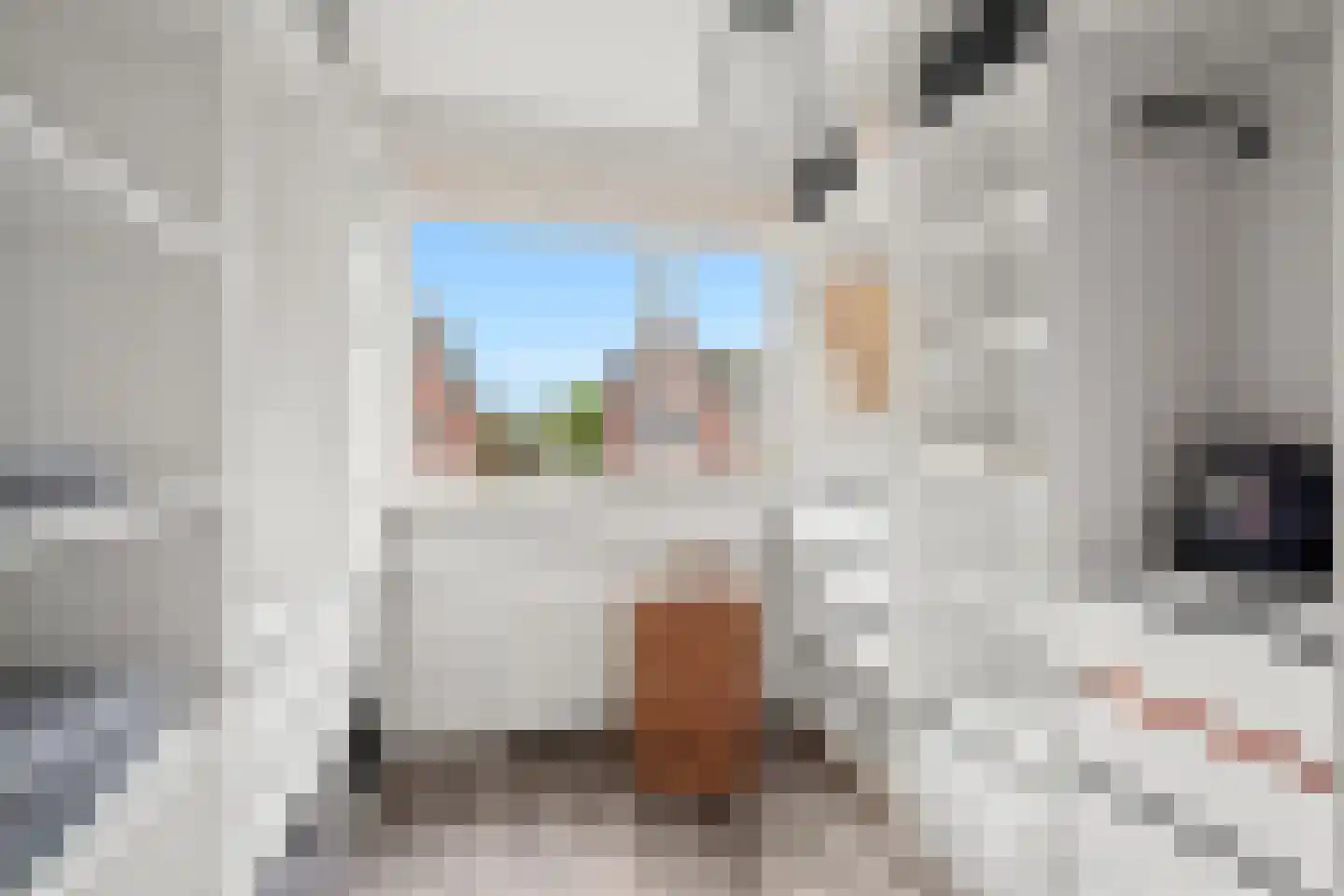 Vedergras 11 Houten thumbnail 31