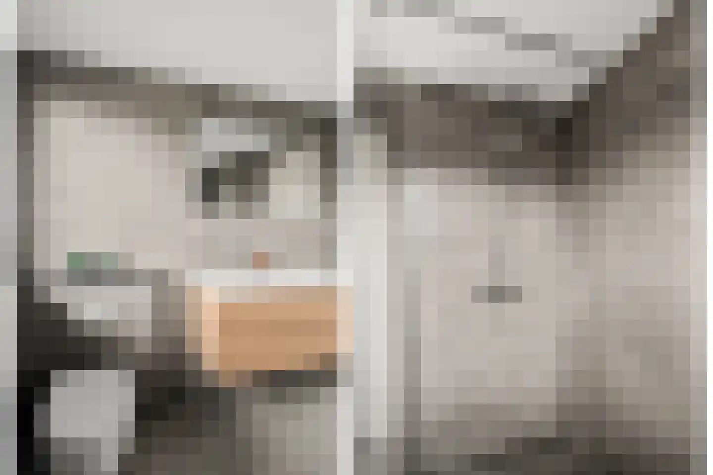 Vedergras 11 Houten thumbnail 38