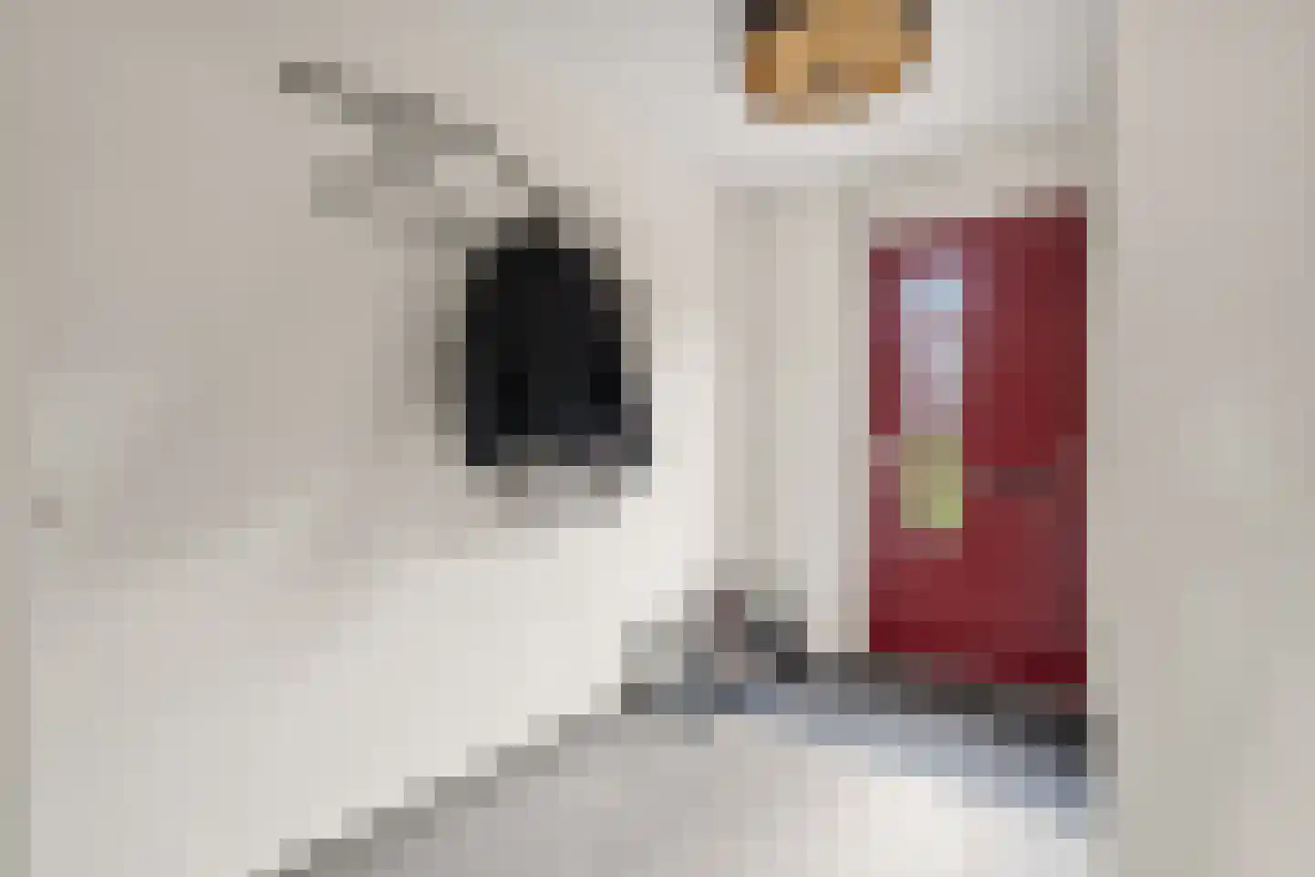 Vedergras 11 Houten thumbnail 42