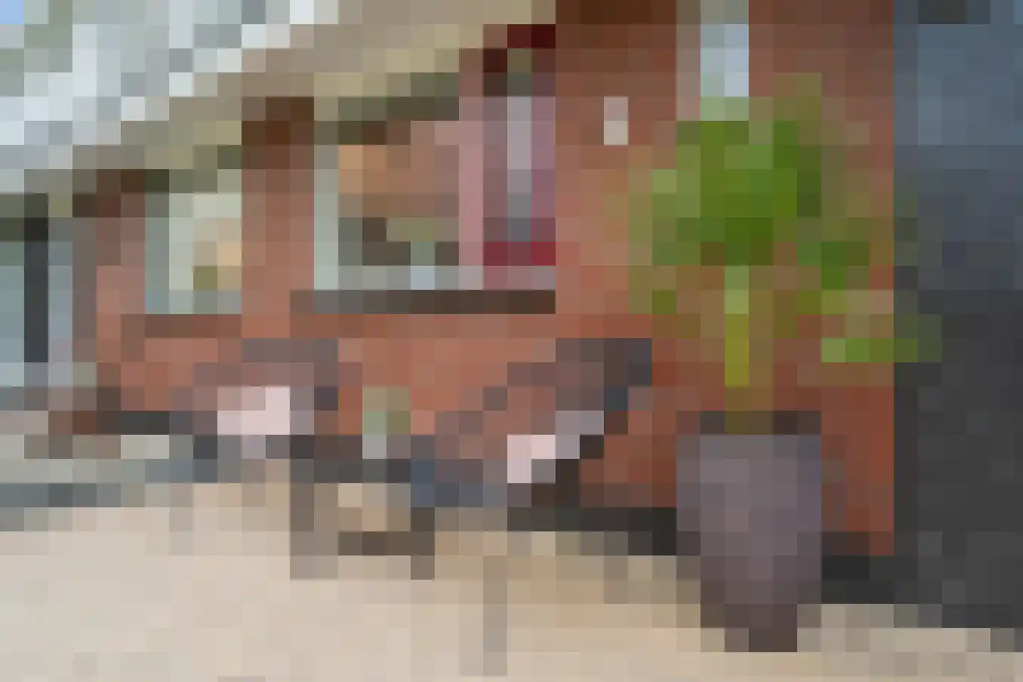 Vedergras 11 Houten thumbnail 45