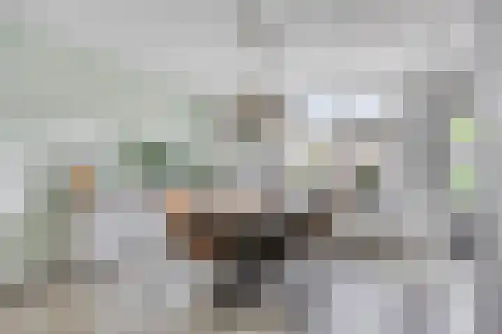 Vedergras 38 Borne thumbnail 10