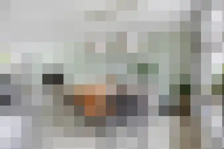 Vedergras 38 Borne thumbnail 11