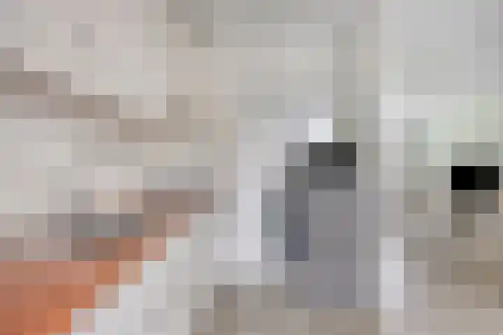Vedergras 38 Borne thumbnail 15