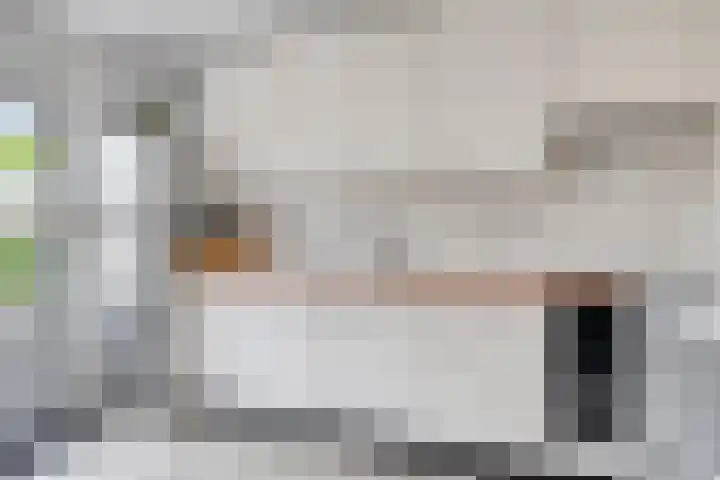 Vedergras 38 Borne thumbnail 16