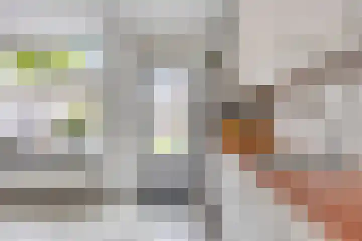 Vedergras 38 Borne thumbnail 17