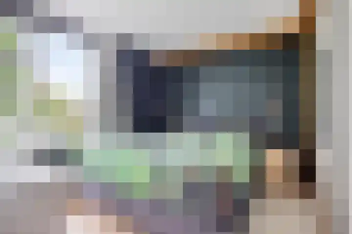 Vedergras 38 Borne thumbnail 19
