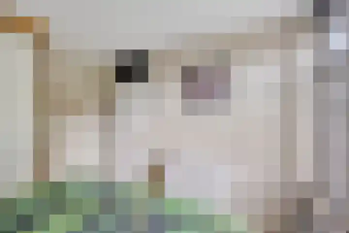 Vedergras 38 Borne thumbnail 20