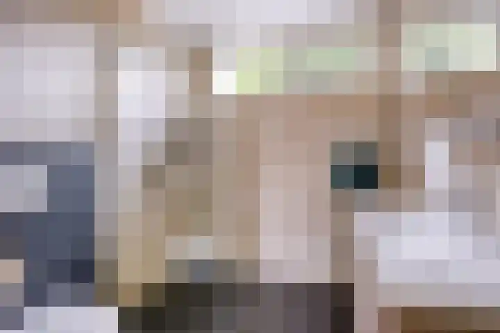 Vedergras 38 Borne thumbnail 21
