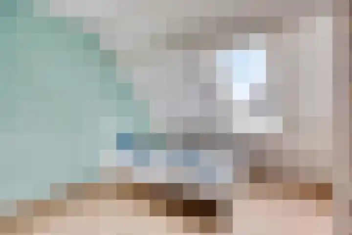 Vedergras 38 Borne thumbnail 23