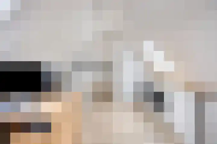 Vedergras 38 Borne thumbnail 26